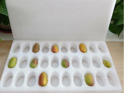 專業(yè)生產(chǎn)設(shè)計(jì)研發(fā)珍珠棉紙箱配套包裝團(tuán)隊(duì)為您的產(chǎn)品報(bào)價(jià)護(hù)航