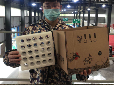 如何包裝20枚雞蛋？20枚雞蛋托包裝用珍珠棉蛋托緩沖包裝