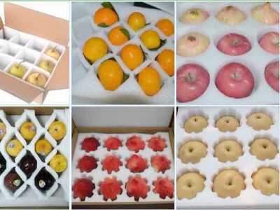 珍珠棉在水果包裝行業中能起到什么作用